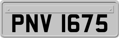 PNV1675