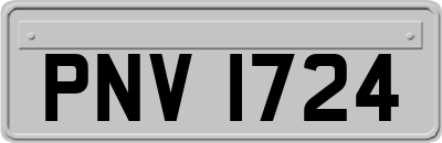 PNV1724