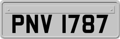 PNV1787
