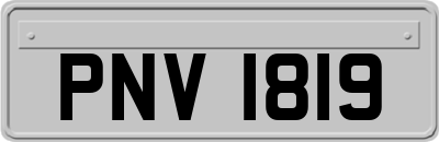 PNV1819