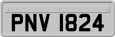 PNV1824