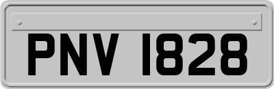 PNV1828