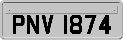 PNV1874