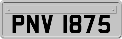 PNV1875