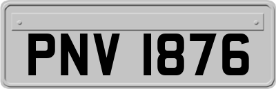 PNV1876