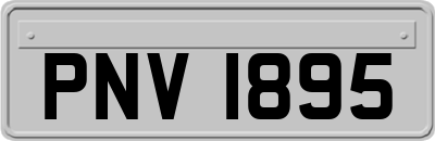 PNV1895