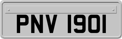 PNV1901