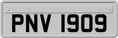 PNV1909