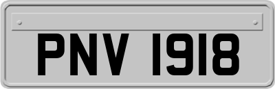 PNV1918