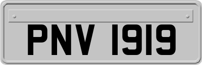 PNV1919