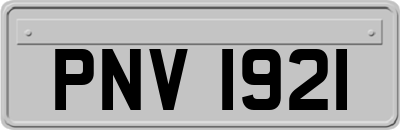 PNV1921