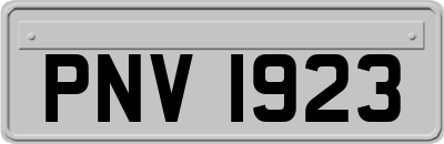 PNV1923