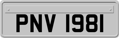 PNV1981