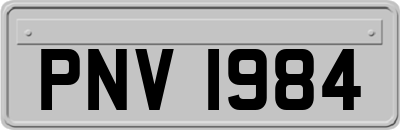 PNV1984