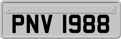 PNV1988