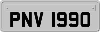 PNV1990