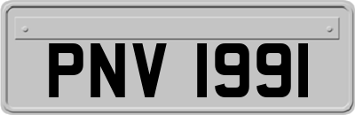 PNV1991
