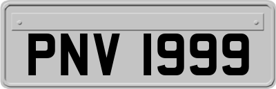 PNV1999
