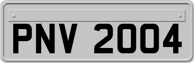 PNV2004
