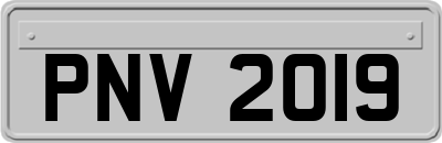 PNV2019