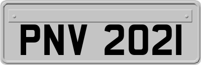 PNV2021