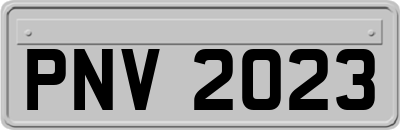 PNV2023