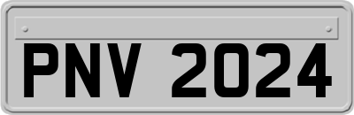 PNV2024