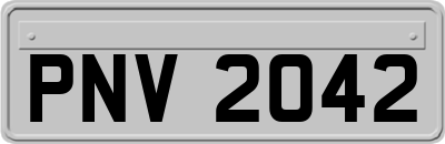 PNV2042