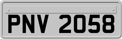 PNV2058
