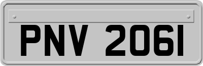 PNV2061