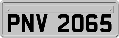 PNV2065