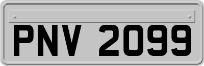 PNV2099