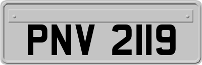 PNV2119