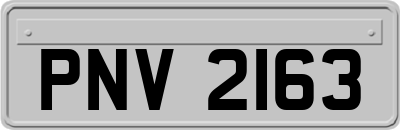 PNV2163