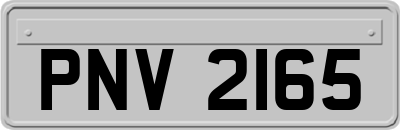 PNV2165