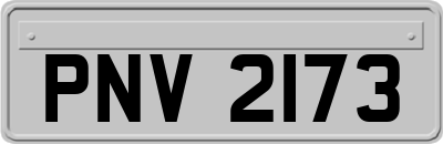 PNV2173