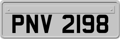 PNV2198