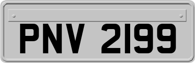 PNV2199