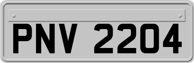 PNV2204