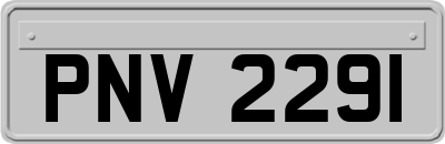 PNV2291