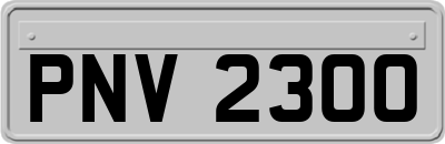 PNV2300