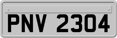 PNV2304