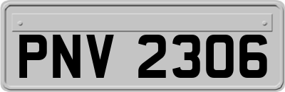 PNV2306