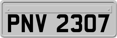PNV2307