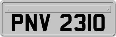 PNV2310