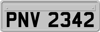 PNV2342