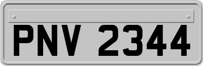 PNV2344