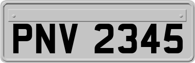PNV2345
