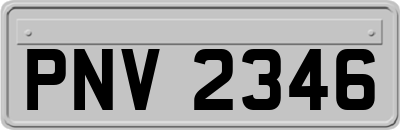 PNV2346