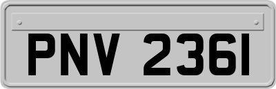 PNV2361
